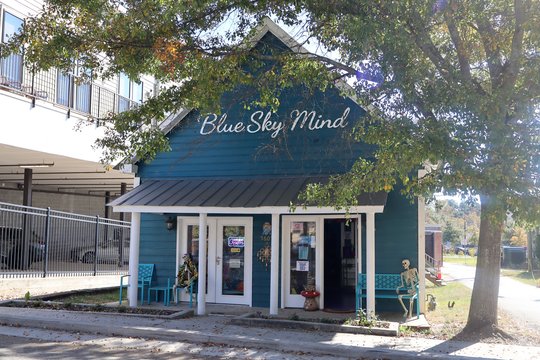 ‘I did my best to make it work': Blue Sky Mind to close this year — Gainesville Business news